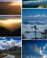 2019伦理片-2019伦理片，在光影交错中探寻人性与道德的边界