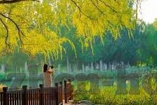 成人激情视频网站-成人内容平台的双刃剑，探索与责任