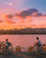 大象传媒每天免费观看-每日精彩，尽在大象传媒