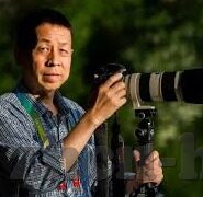 国产麻豆亚洲av片在线观看-国产成人视频正确观影的理性探讨