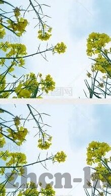 果冻传媒手机的秘密-揭秘果冻传媒手机背后的不为人知的故事