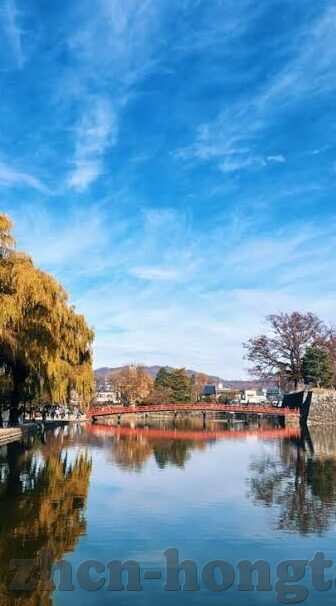 久久一区二区三区四区-探索区域发展的多元维度，一区至四区的独特魅力