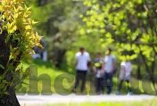 伦理2018理论片-伦理的镜像，2018年理论片的社会与道德反思