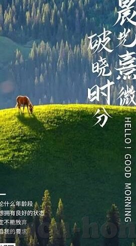 麻豆91免费观看-麻豆91，互联网内容平台的争议与深思