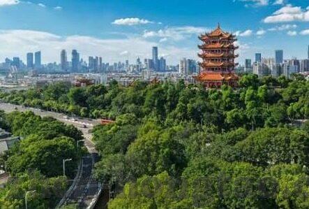 麻豆app会员账号共享-探索麻豆App会员账号共享的隐私风险与社交影响