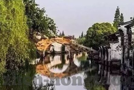 麻豆传媒是干嘛的-麻豆传媒的多维度解析，从行业视角到公众关注的流动