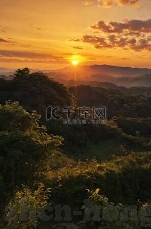 麻豆视频老师-麻豆视频，网络教学的新风向与挑战