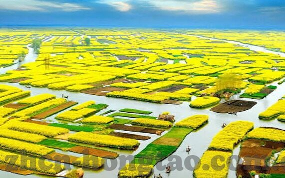 糖心app兑换码ios-探索糖心app兑换码ios在iOS用户体验中的独特价值