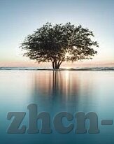 糖心app免费下-免费用心，揭秘糖心app的下载与体验