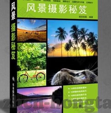 糖心vlog仙仙桃视频-探寻糖心Vlog刘小园的仙桃日常，一个创作者的原生映像